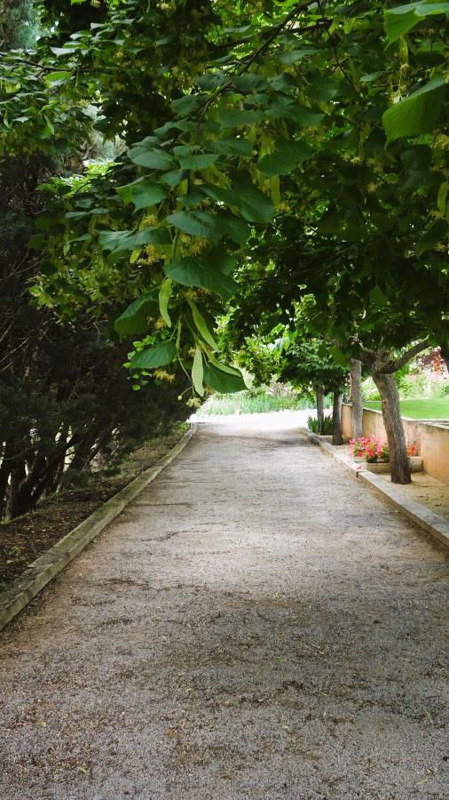 La Bastide Des Roses Bed & Breakfast Saint-Julien-d'Asse Dış mekan fotoğraf