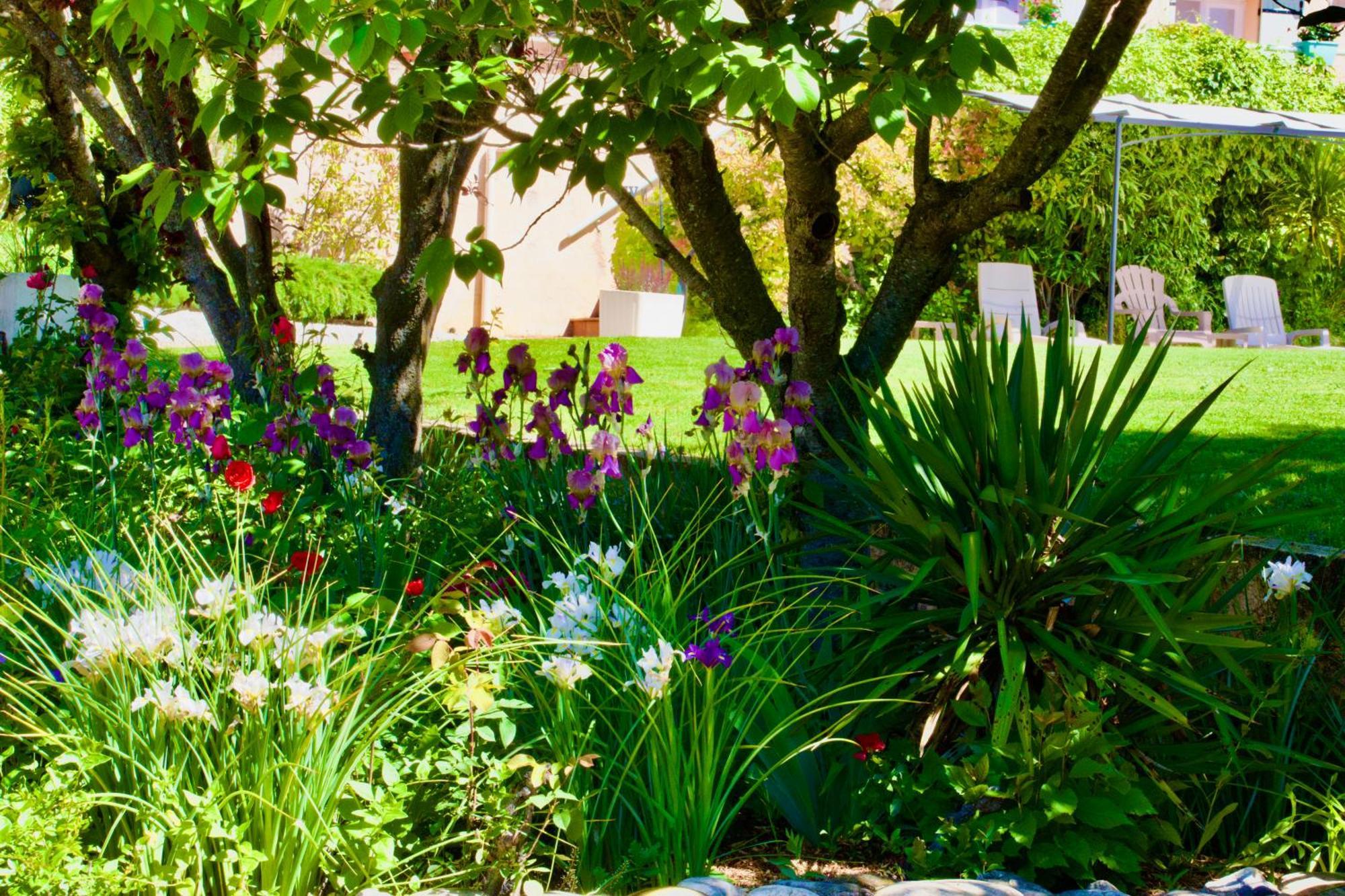 La Bastide Des Roses Bed & Breakfast Saint-Julien-d'Asse Dış mekan fotoğraf