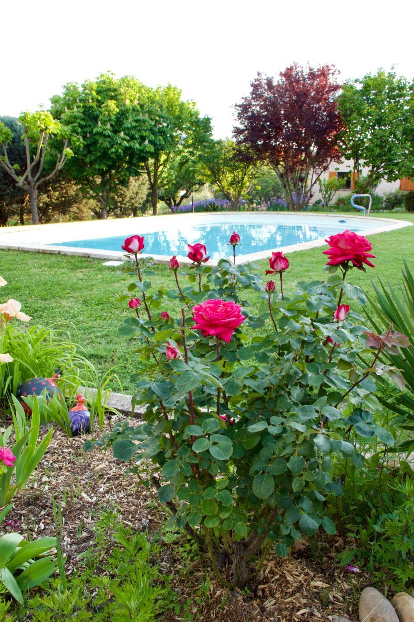 La Bastide Des Roses Bed & Breakfast Saint-Julien-d'Asse Dış mekan fotoğraf