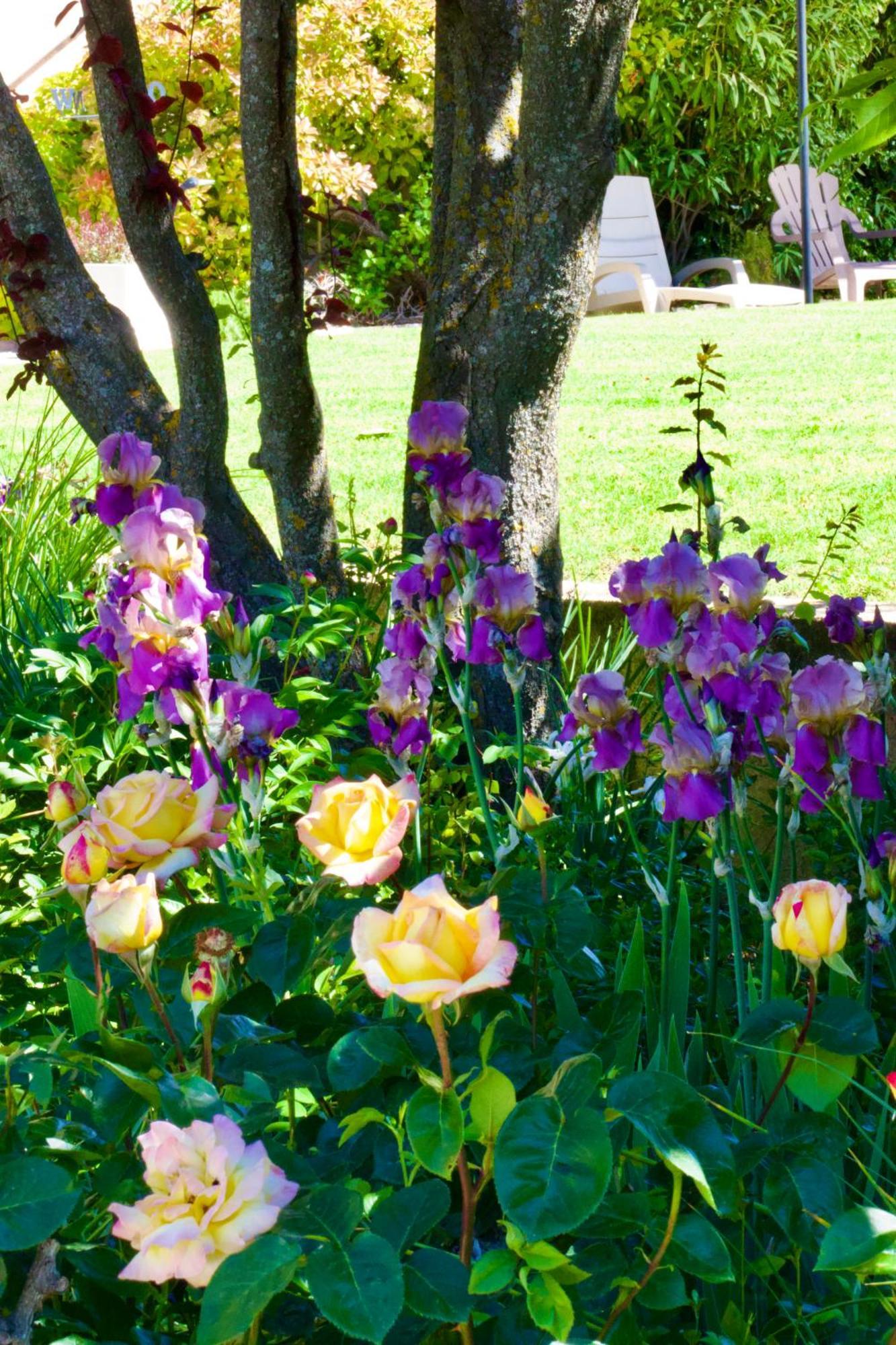 La Bastide Des Roses Bed & Breakfast Saint-Julien-d'Asse Dış mekan fotoğraf